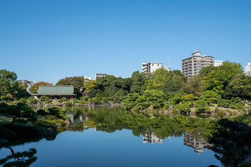 冬の清澄庭園と青空の風景