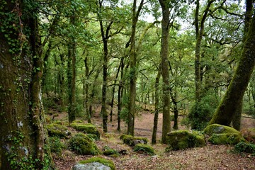 Beautiful landscape at Peneda-Geres National Park, Portugal