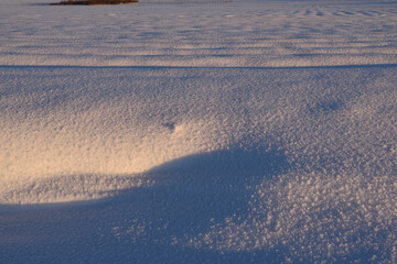 Beautiful color of snow during dawn