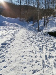 Hiking Winter Wonderland Snow Bergen Norway