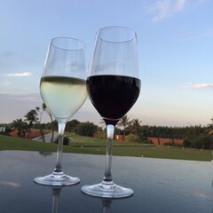 wine glasses