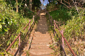 Obraz premium 公園の長い石段上り