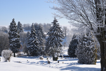 Cemetery of Freienhagen, covered with snow