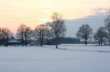 Verschneite Winterlandschaft mit Felder und Bäumen in Lippetal Büninghausen, an der Buschstraße