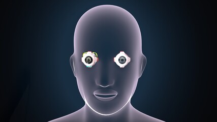 3d render of male human body eye anatomy.
