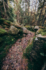 A close up of a rock a mountain