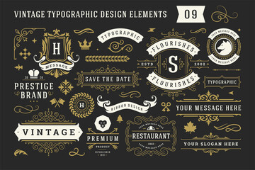 Obraz na płótnie Canvas Vintage typographic decorative ornament design elements set vector illustration
