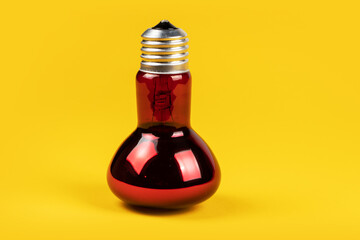 Incubator red lamp on yellow background