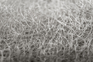 Macro background of natural sponge that looks like roots