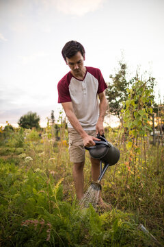 Man watering plants while standing at community garden
