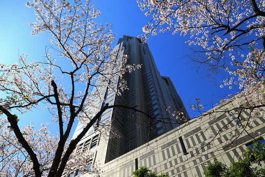 3 293 最適な 東京都庁 画像 ストック写真 ベクター Adobe Stock