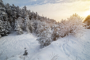 White winter landscape in the forest