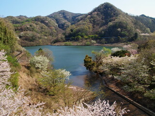 松川湖にも春の訪れ