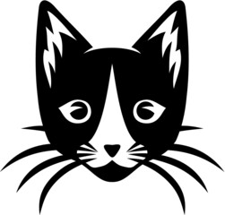 Vector illustration of the cat face