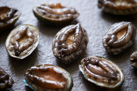 Fresh raw abalone on marble 