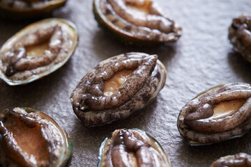 Fresh raw abalone on marble 