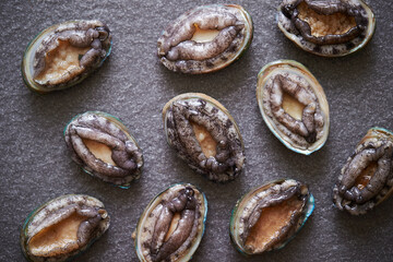 Fresh raw abalone on marble 
