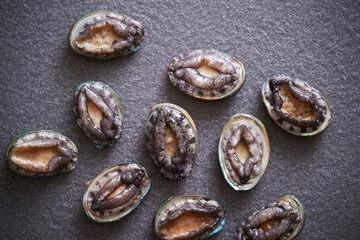 Fresh raw abalone on marble 