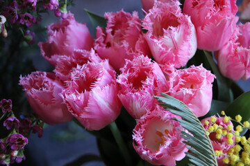BRIGHT AND BEAUTIFUL SPRING TULIPS