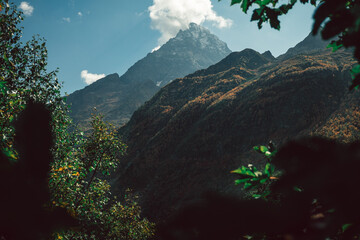 Russia, Caucasus, Dombay, Belalakaya mountain, view from the forest in sunny weather