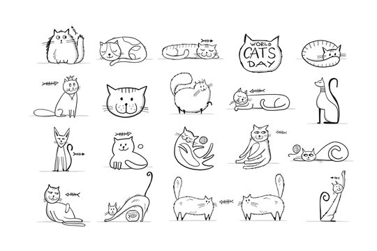 Collection of cats character for your design