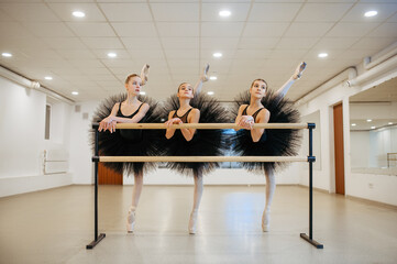 Elegant teen ballerinas poses at barre in class