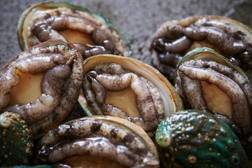 Fresh raw abalone on marble 