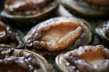Fresh raw abalone on marble 