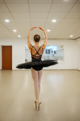 Elegant ballerina, dance performing in class