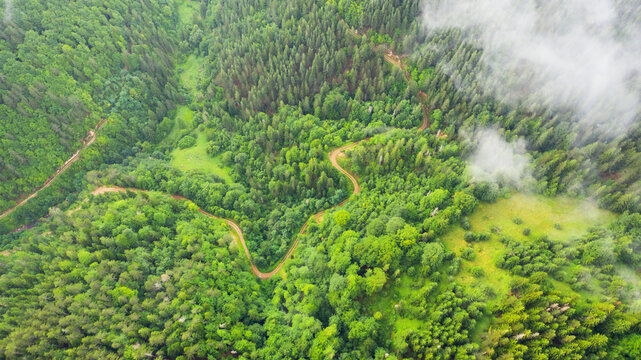 Aerial view of tropical rainforest covered by cloud and fog.