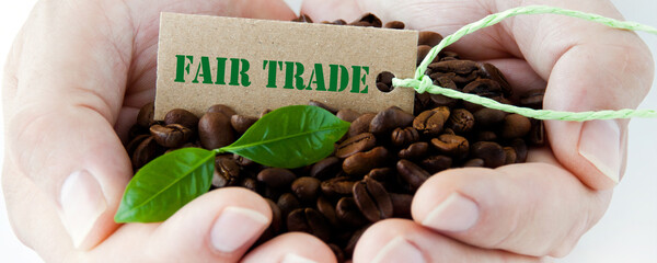 Kaffeebohnen in Männerhänden mit Label Fair Trade Banner