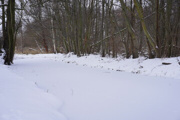 Weiße winterliche Spreewaldlandschaft mit zugefrorenem Fließgewässer
