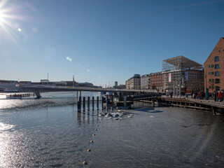 Fototapeta premium Copenhagen Nyhavn Winter Sun