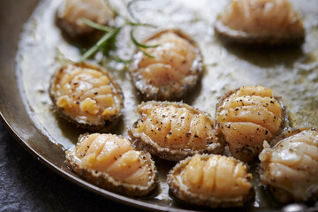 Grilled fresh abalone on a cast iron pan
