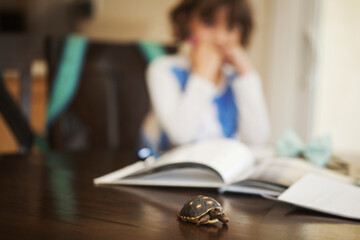 Close-up of turtle on table with girl and books in background
