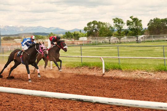 Jockeys riding horses at competition