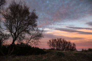Fototapeta na wymiar Crepúsculo en las dunas salvajes de Canet de Berenguer en Valencia