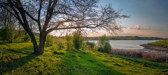 Summer moring among fields