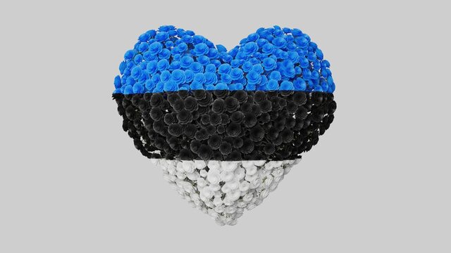 Estonia National Day. February 24. Heart shape made out of flowers on white background. 3D rendering.