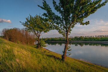 Summer moring among fields