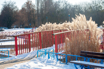 Snow-covered trees, bushes and benches in the city park. Poland, Warsaw, city park without people in winter. Quarantine concept