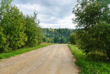 Fototapeta premium The road to the forest in summer