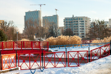 Naklejka premium Snow-covered trees, bushes and benches in the city park. Poland, Warsaw, city park without people in winter. Quarantine concept