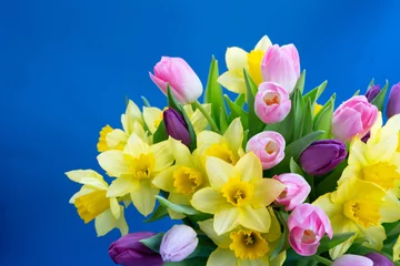 Zelfklevend Fotobehang tulips and daffodils flowers © neirfy