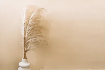 gelbes dekoratives gras in einer vase, wohnkulturelemente, trockene zweige zur dekoration © Асель Иржанова