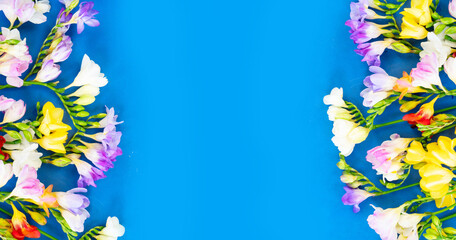 blooming daffodils, hyacinth and freesia flowers