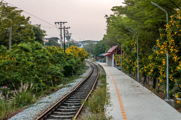 The local railway along with yellow flowers at Chom Thang district, Bangkok Thailand Thailand