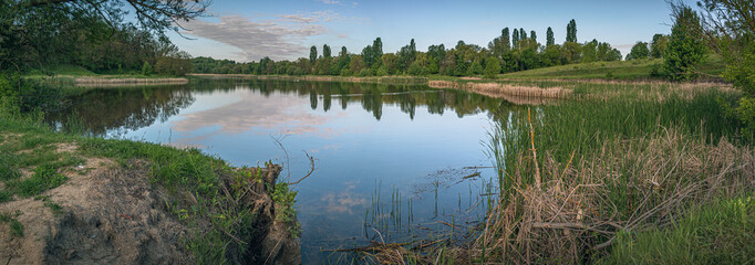 Spring landscape