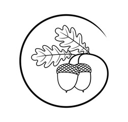 Acorn outline. Isolated acorn outline on white background © oleg7799