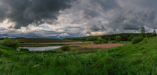 Summer landscape